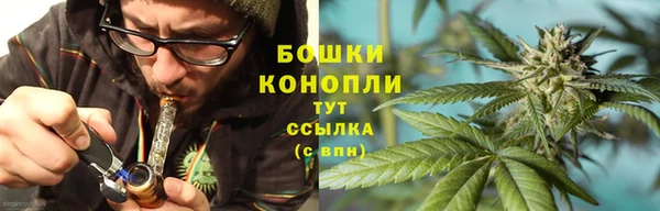 тгк Бронницы