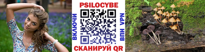 Псилоцибиновые грибы Cubensis Тбилисская